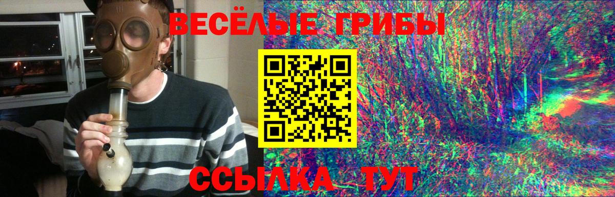 Псилоцибиновые грибы Cubensis  продажа наркотиков  Горячий Ключ  Галлюциногенные грибы Psilocybe  Вход с VPN 